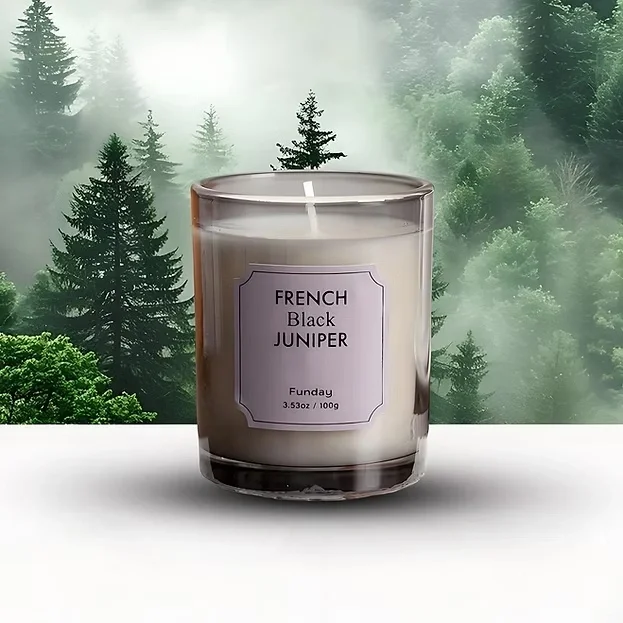 Spearmint Bath and Body Works Aromatherapy Candles for Woman
